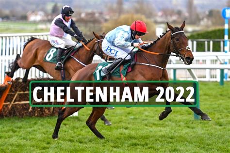 betting tips for cheltenham